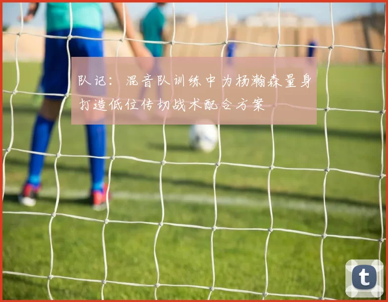 队记：混音队训练中为杨瀚森量身打造低位传切战术配合方案