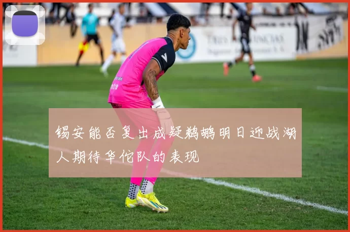 锡安能否复出成疑鹈鹕明日迎战湖人期待华佗队的表现
